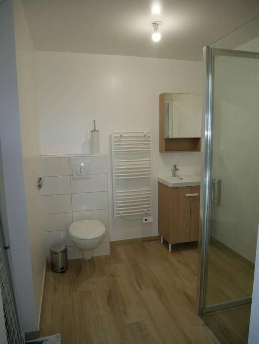 Studio Lumineux Avec Terrasse ลารอช-ซูร์-ยง ภายนอก รูปภาพ
